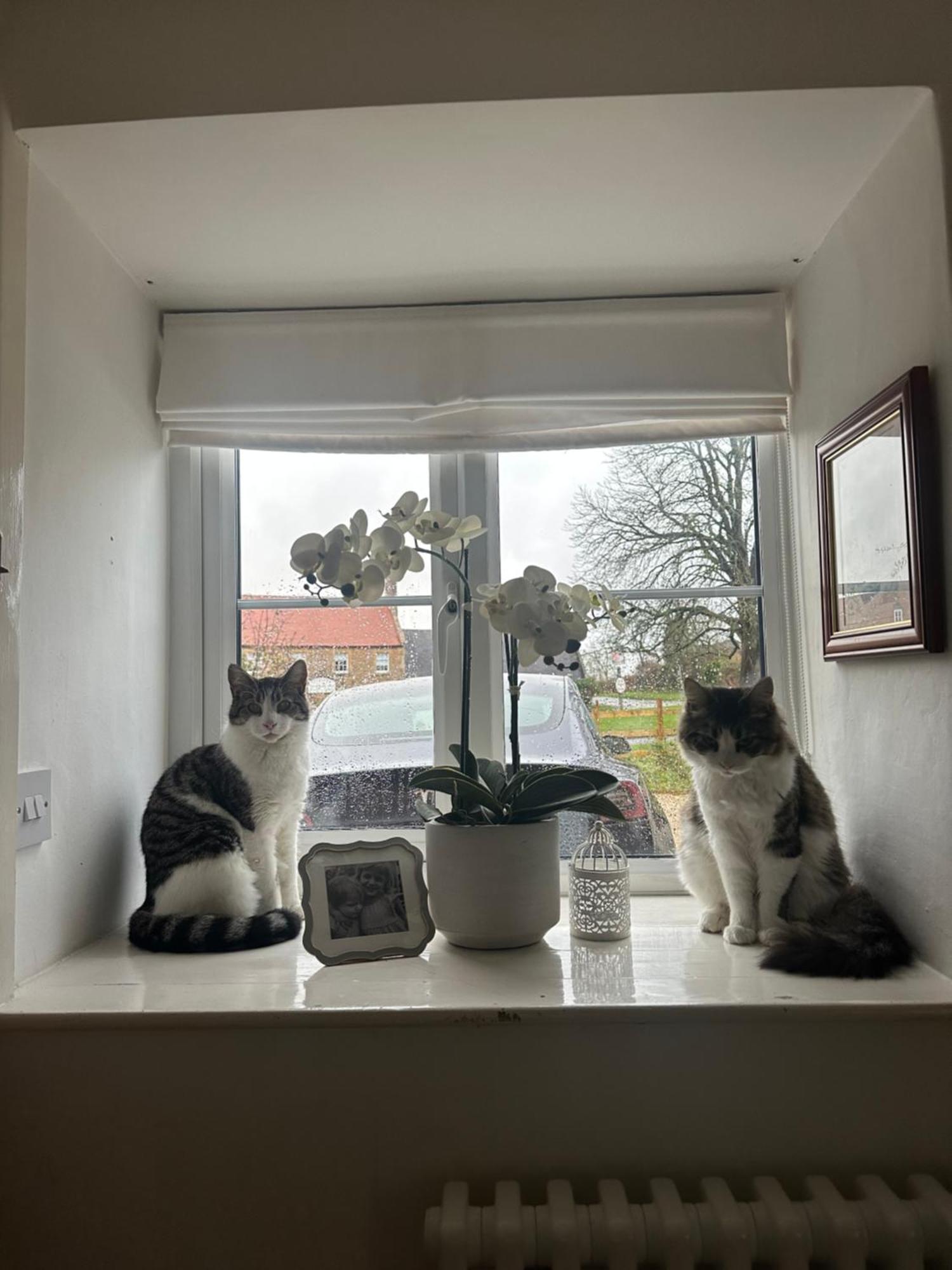 Gem Cottage Illmington エクステリア 写真